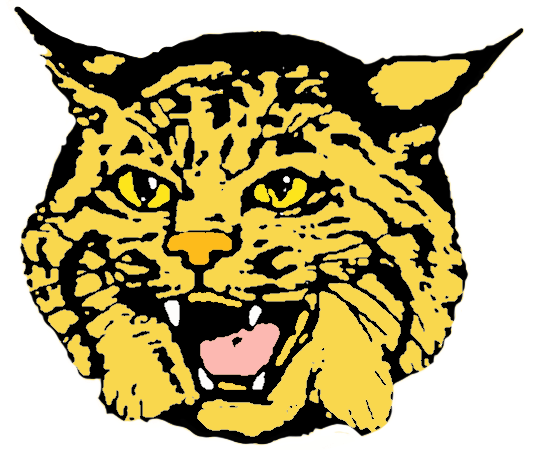 Bobcat mascot 